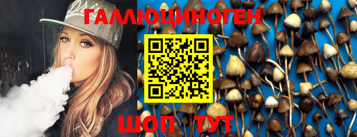 Галлюциногенные грибы MAGIC MUSHROOMS  Галлюциногенные грибы Psilocybe  Вход с VPN  Апшеронск 