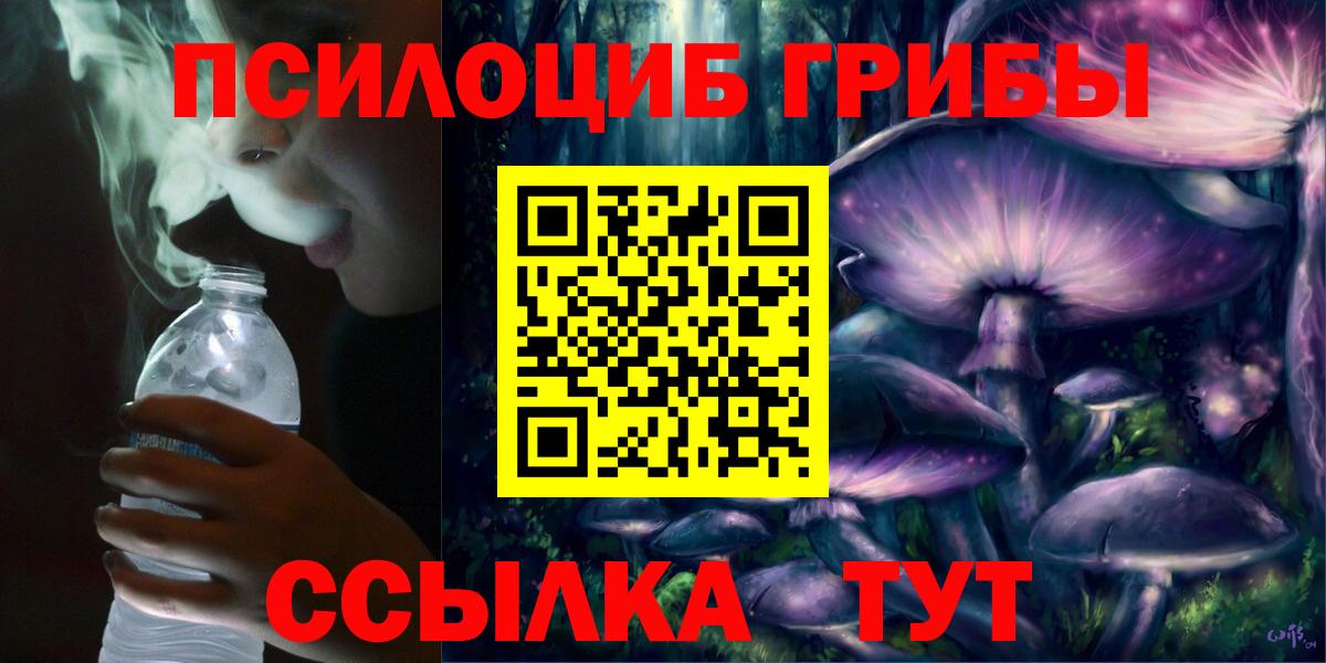 Псилоцибиновые грибы Cubensis Апшеронск